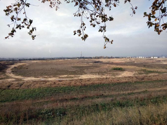 Teplárna mění bývalé odkaliště v lesopark