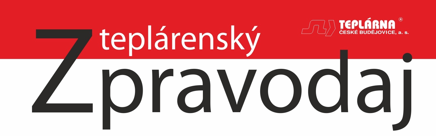 Teplárenský zpravodaj 2021