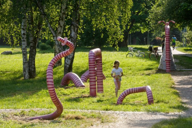 cerv pohled zadni web